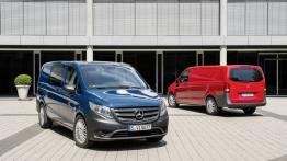Mercedes Vito III Panel Van 116 CDI (2014) - widok z tyłu