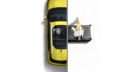 Citroen C4 Cactus (2014) - widok z góry