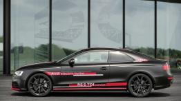 Audi RS5 TDI Concept (2014) - lewy bok