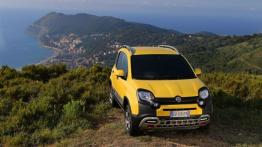 Fiat Panda III Cross (2014) - widok z przodu