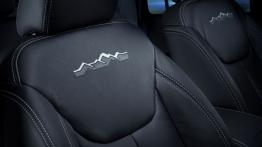 Jeep Wrangler Unlimited Polar (2014) - fotel pasażera, widok z przodu