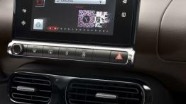 Citroen C4 Cactus (2014) - konsola środkowa