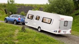 Skoda Octavia III Scout (2014) - widok z tyłu