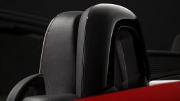 Mazda MX-5 25th Anniversary Edition (2014) - pałąk bezpieczeństwa