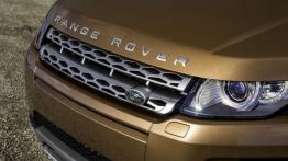 Land Rover Range Rover Evoque 2014 - grill