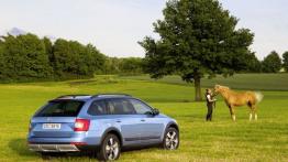 Skoda Octavia III Scout (2014) - widok z tyłu