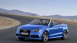 Audi A3 III Cabriolet 2.0 TFSI quattro (2014) - widok z przodu