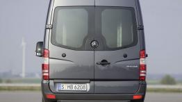 Mercedes Sprinter Facelifting (2014) - widok z tyłu