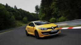 Renault Megane III RS 275 Trophy (2014) - widok z przodu