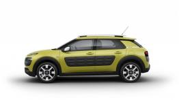 Citroen C4 Cactus (2014) - lewy bok