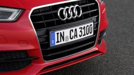 Audi A3 III Cabriolet 2.0 TDI (2014) - grill