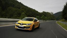 Renault Megane III RS 275 Trophy (2014) - widok z przodu