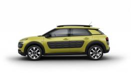Citroen C4 Cactus (2014) - lewy bok