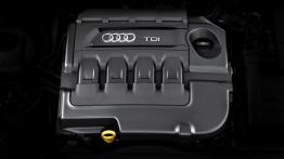 Audi A3 III Cabriolet 2.0 TDI (2014) - silnik