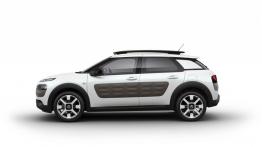 Citroen C4 Cactus (2014) - lewy bok