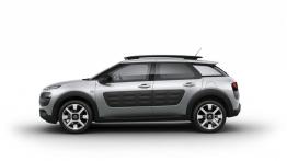 Citroen C4 Cactus (2014) - lewy bok