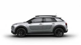 Citroen C4 Cactus (2014) - lewy bok