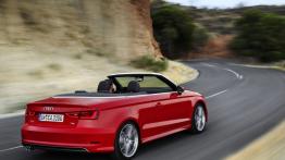 Audi A3 III Cabriolet 2.0 TDI (2014) - widok z tyłu