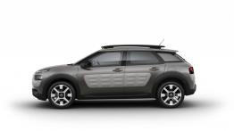 Citroen C4 Cactus (2014) - lewy bok