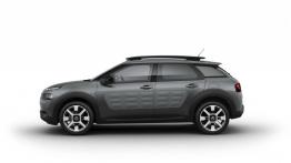 Citroen C4 Cactus (2014) - lewy bok