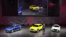 Audi TT offroad concept (2014) - oficjalna prezentacja auta