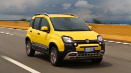 Fiat Panda III Cross (2014) - widok z przodu