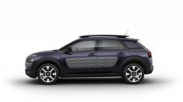Citroen C4 Cactus (2014) - lewy bok
