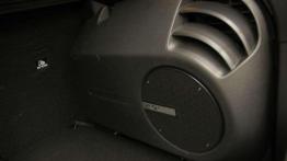 Stylowy i odporny na polskie drogi - Citroen DS4