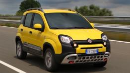 Fiat Panda III Cross (2014) - widok z przodu
