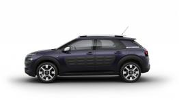 Citroen C4 Cactus (2014) - lewy bok