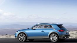 Audi Allroad Shooting Brake Concept (2014) - lewy bok