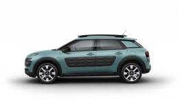 Citroen C4 Cactus (2014) - lewy bok