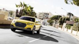 Audi TT offroad concept (2014) - widok z przodu