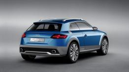Audi Allroad Shooting Brake Concept (2014) - widok z tyłu