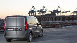 Fiat Doblo III Cargo Facelifting (2015) - widok z tyłu