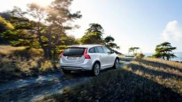 Volvo V60 Cross Country (2015) - widok z tyłu