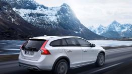Volvo V60 Cross Country (2015) - widok z tyłu