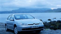Citroen C5 - widok z przodu