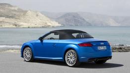Audi TT III Roadster (2015) - widok z tyłu