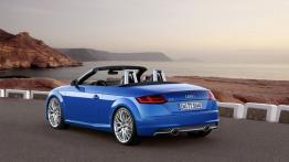 Audi TT III Roadster (2015) - widok z tyłu