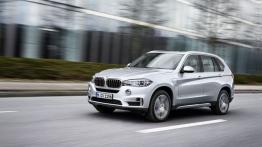 BMW X5 III xDrive40e (2015) - lewy bok