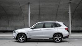BMW X5 III xDrive40e (2015) - lewy bok