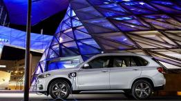 BMW X5 III xDrive40e (2015) - lewy bok