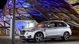 BMW X5 III xDrive40e (2015) - lewy bok