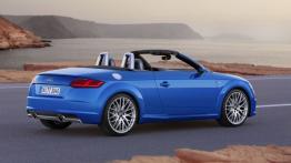 Audi TT III Roadster (2015) - widok z tyłu