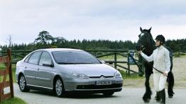 Citroen C5 - widok z przodu