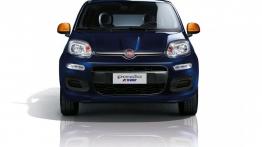 Fiat Panda III K-Way (2015) - widok z przodu