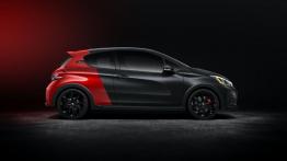 Peugeot 208 GTi by Peugeot Sport (2015) - prawy bok