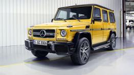 Mercedes klasy G (BR 463) 2015 - widok z przodu
