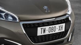 Peugeot 208 Hatchback 5d Facelifting BlueHDi Ice Grey (2015) - grill